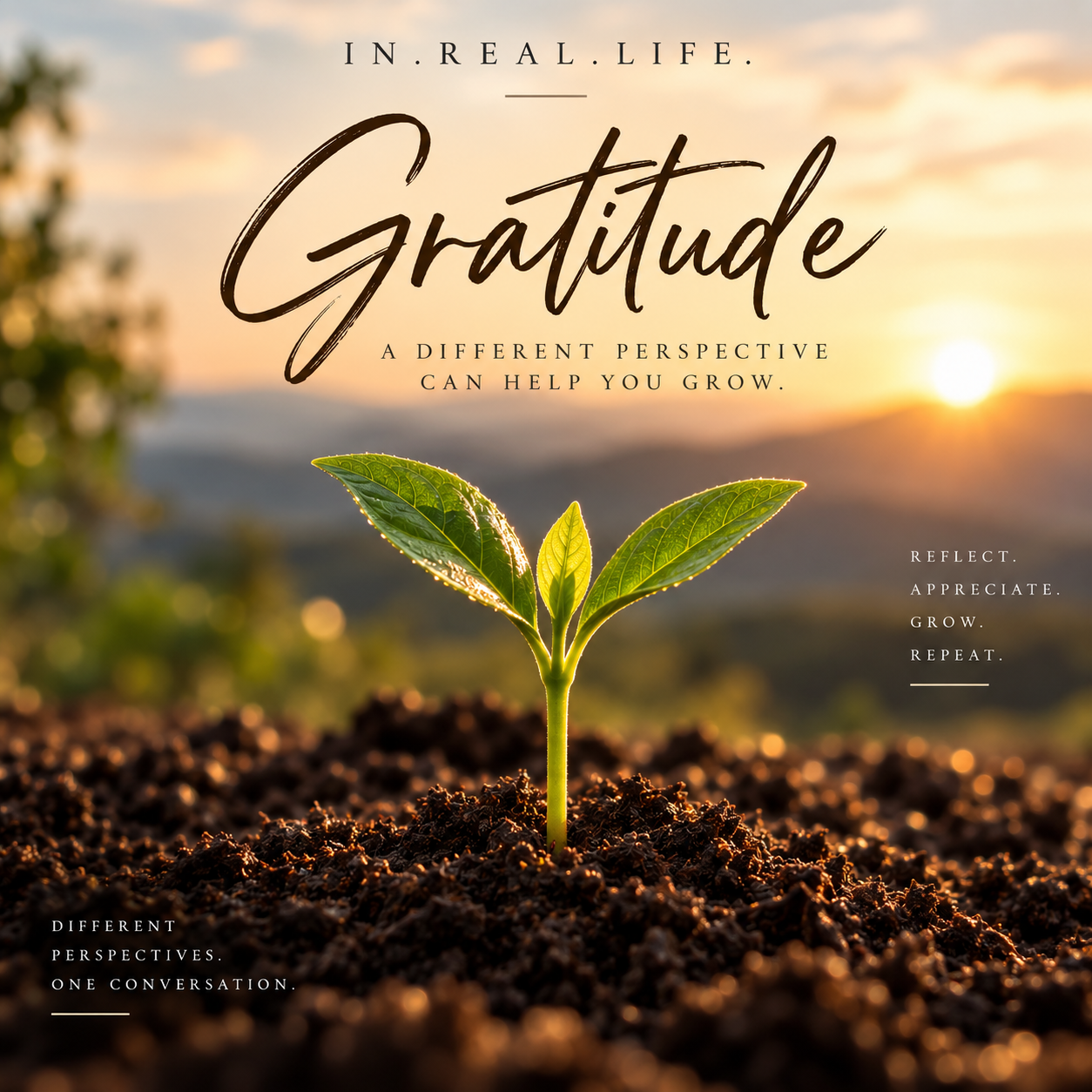 Gratitude Changes the View
