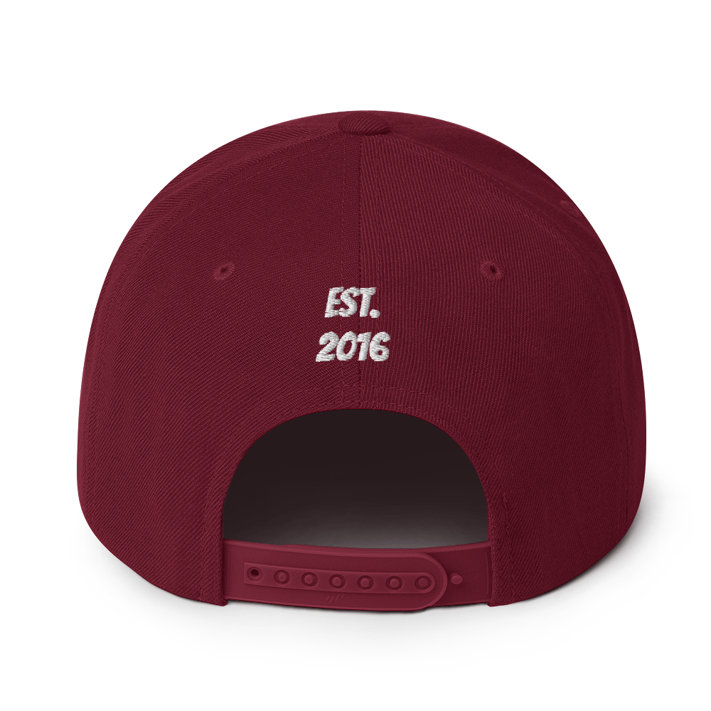 "IRL" Logo Snapback Hat