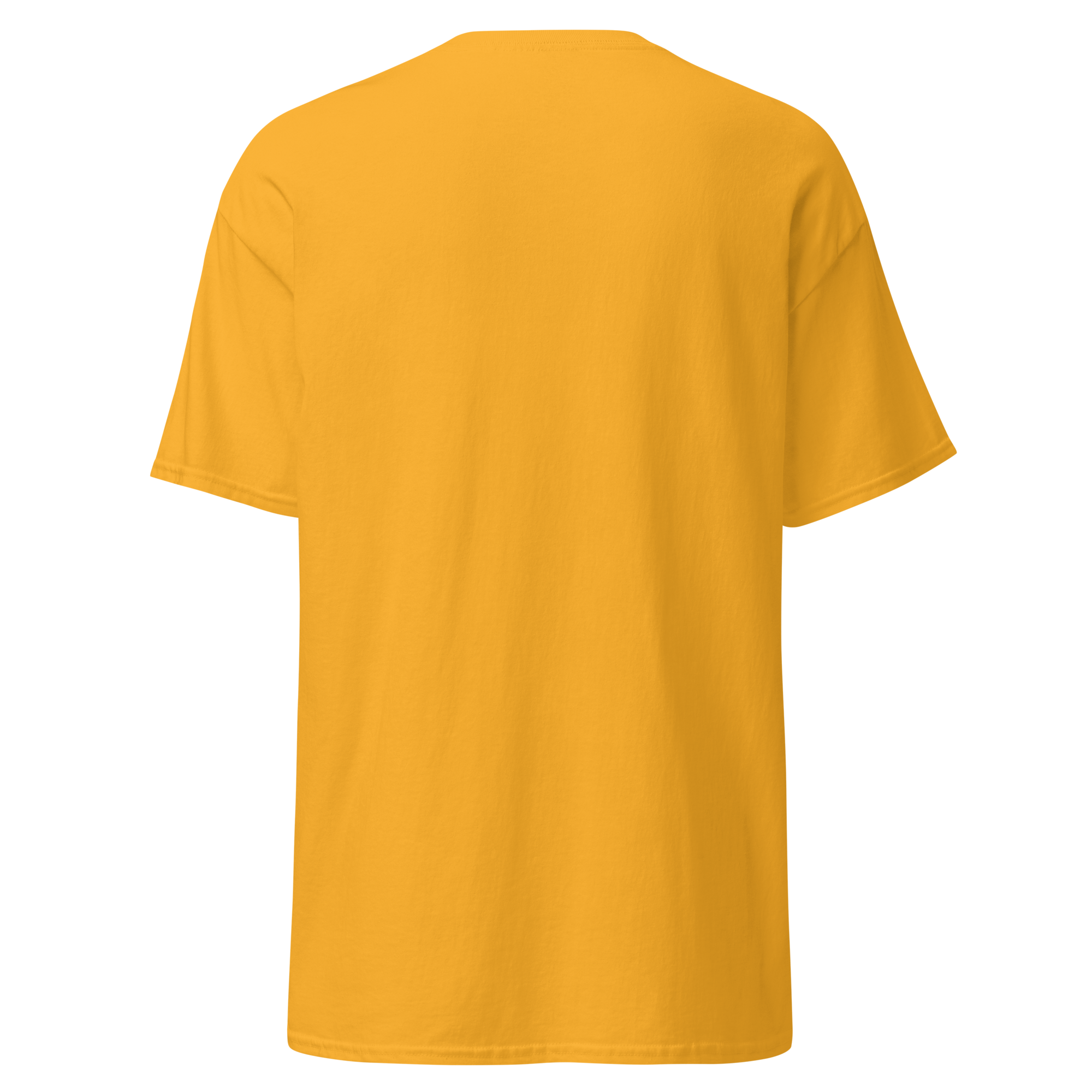 Aspire Classic Tee