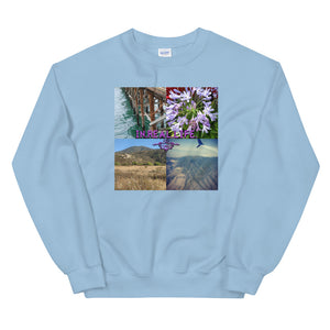 "Views" Sweatshirt